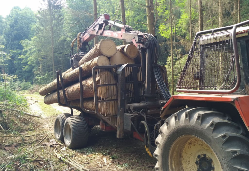 Gemini_Generated_Image_26r2zu26r2zu26r2cc