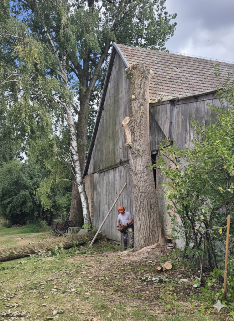 Gemini_Generated_Image_2eg1hq2eg1hq2eg1