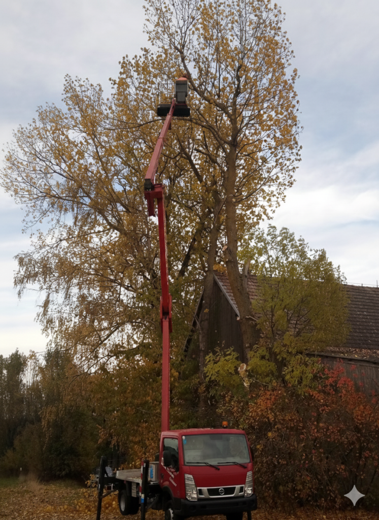 Gemini_Generated_Image_l5k4sml5k4sml5k4