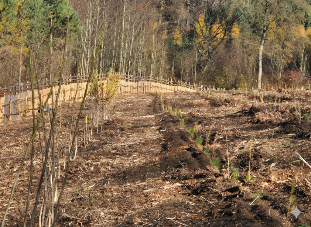 Gemini_Generated_Image_lq8lhulq8lhulq8l